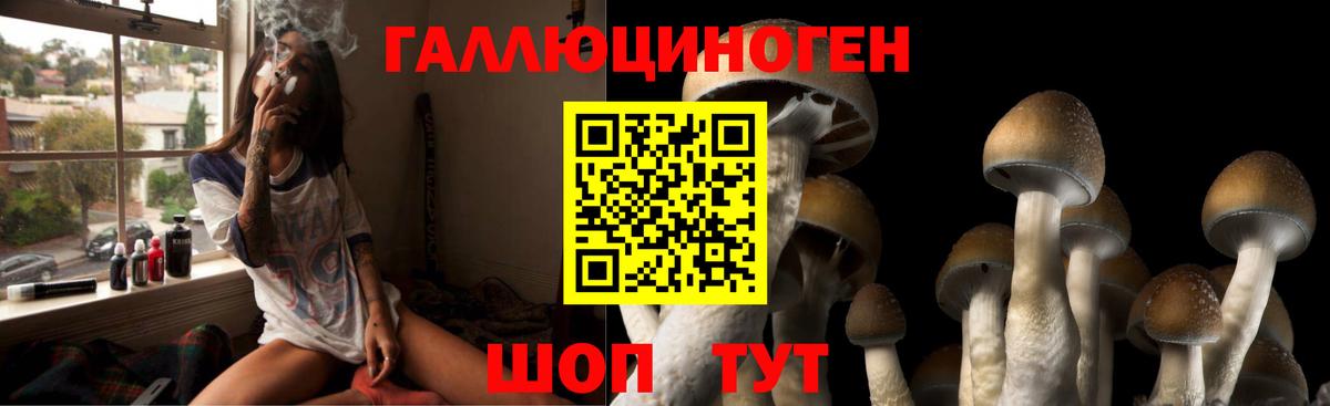 Лениногорск  Галлюциногенные грибы GOLDEN TEACHER  Вход с VPN 